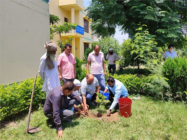 Plantation Drive
