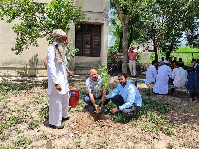 Plantation Drive