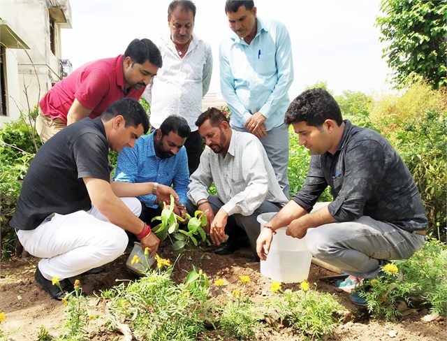 Plantation Drive