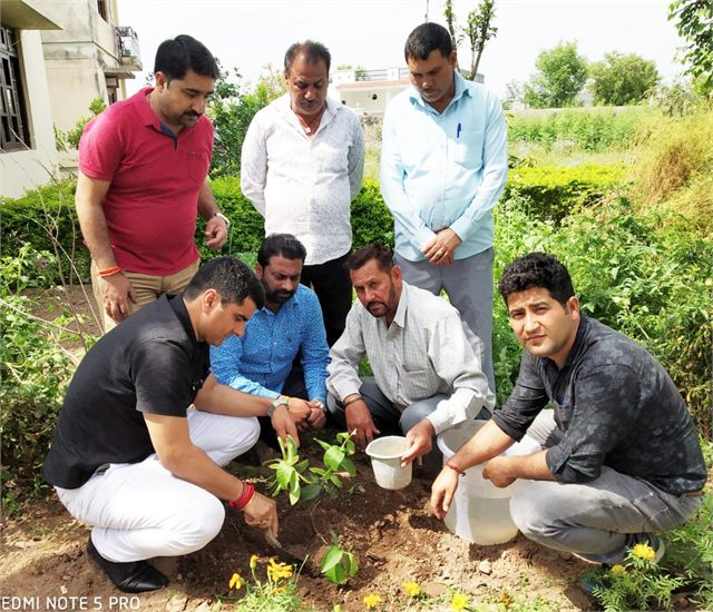 To Save the Environment I have Organised several Plantation Drives.