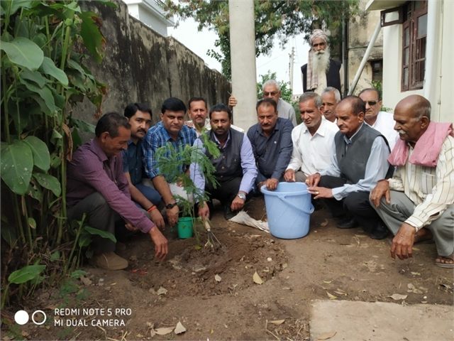 To Save the Environment I have Organised several Plantation Drives.